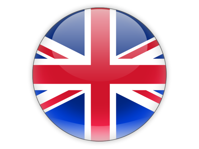 Selected language icon